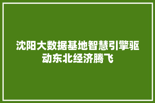 沈阳大数据基地智慧引擎驱动东北经济腾飞  第1张