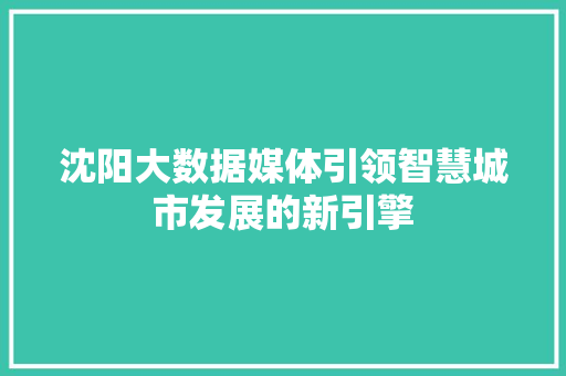 沈阳大数据媒体引领智慧城市发展的新引擎  第1张