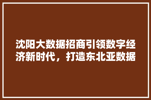 沈阳大数据招商引领数字经济新时代，打造东北亚数据枢纽  第1张