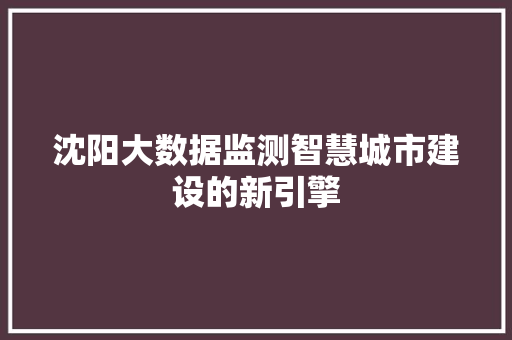 沈阳大数据监测智慧城市建设的新引擎  第1张