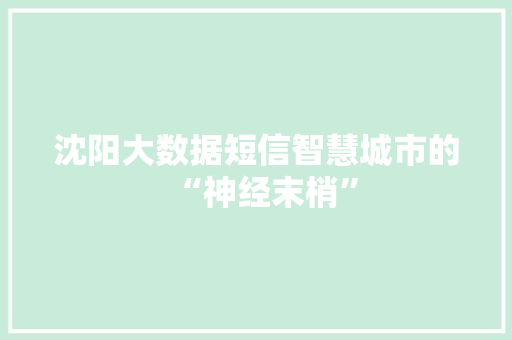 沈阳大数据短信智慧城市的“神经末梢”  第1张