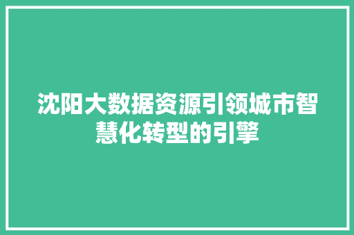 沈阳大数据资源引领城市智慧化转型的引擎  第1张