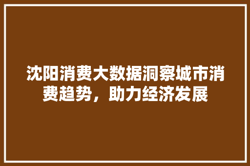 沈阳消费大数据洞察城市消费趋势，助力经济发展  第1张