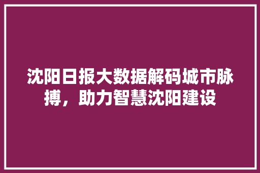 沈阳日报大数据解码城市脉搏，助力智慧沈阳建设  第1张