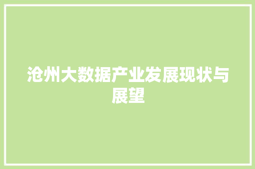 沧州大数据产业发展现状与展望  第1张
