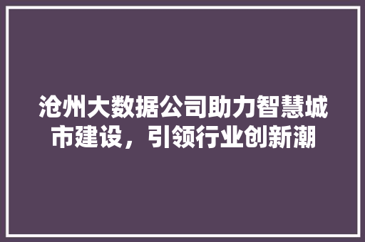 沧州大数据公司助力智慧城市建设，引领行业创新潮  第1张