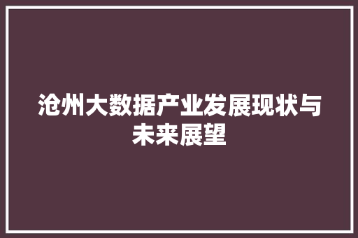 沧州大数据产业发展现状与未来展望  第1张