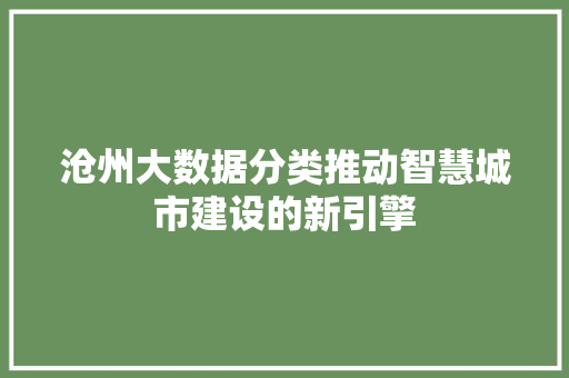 沧州大数据分类推动智慧城市建设的新引擎  第1张
