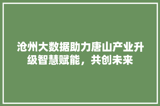 沧州大数据助力唐山产业升级智慧赋能，共创未来  第1张