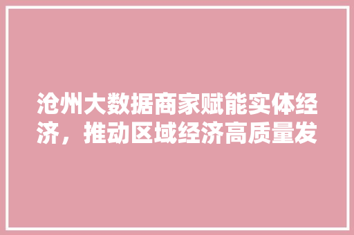 沧州大数据商家赋能实体经济，推动区域经济高质量发展  第1张
