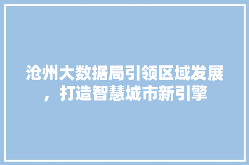 沧州大数据局引领区域发展，打造智慧城市新引擎  第1张