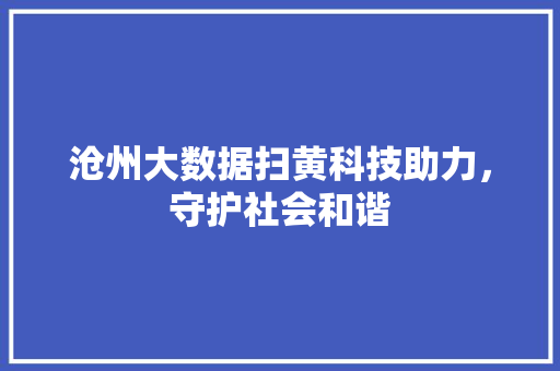 沧州大数据扫黄科技助力，守护社会和谐  第1张