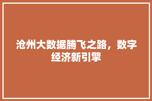 沧州大数据腾飞之路，数字经济新引擎  第1张