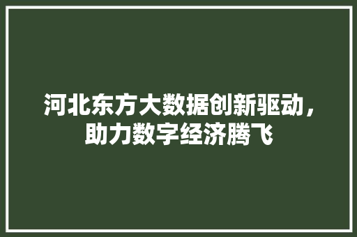 河北东方大数据创新驱动，助力数字经济腾飞  第1张