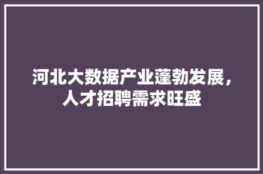 河北大数据产业蓬勃发展，人才招聘需求旺盛  第1张