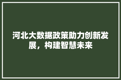 河北大数据政策助力创新发展，构建智慧未来  第1张