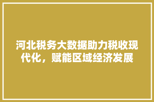 河北税务大数据助力税收现代化，赋能区域经济发展  第1张