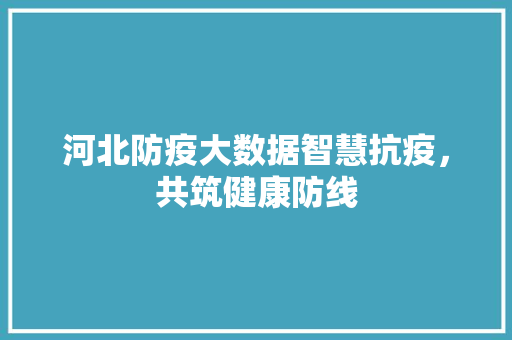 河北防疫大数据智慧抗疫，共筑健康防线  第1张