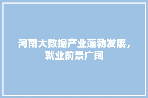 河南大数据产业蓬勃发展，就业前景广阔  第1张
