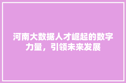 河南大数据人才崛起的数字力量，引领未来发展  第1张