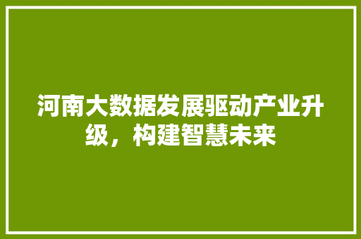 河南大数据发展驱动产业升级，构建智慧未来  第1张