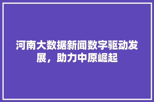 河南大数据新闻数字驱动发展，助力中原崛起  第1张