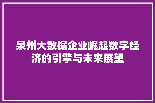 泉州大数据企业崛起数字经济的引擎与未来展望  第1张