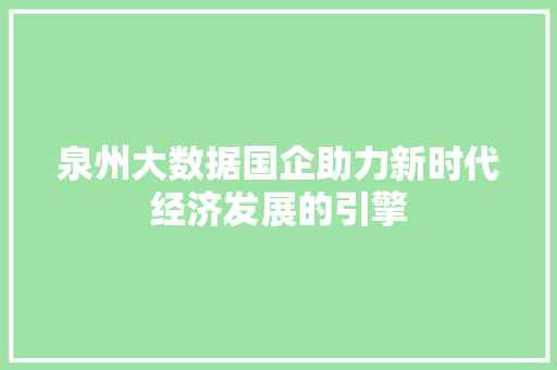 泉州大数据国企助力新时代经济发展的引擎  第1张