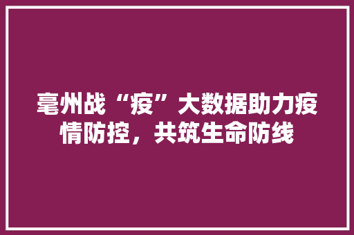 毫州战“疫”大数据助力疫情防控，共筑生命防线  第1张