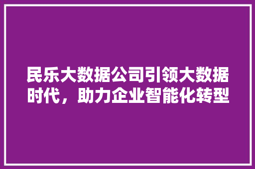 民乐大数据公司引领大数据时代，助力企业智能化转型