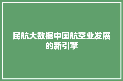 民航大数据中国航空业发展的新引擎  第1张