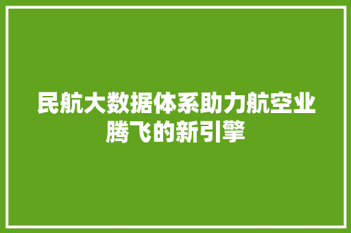 民航大数据体系助力航空业腾飞的新引擎  第1张