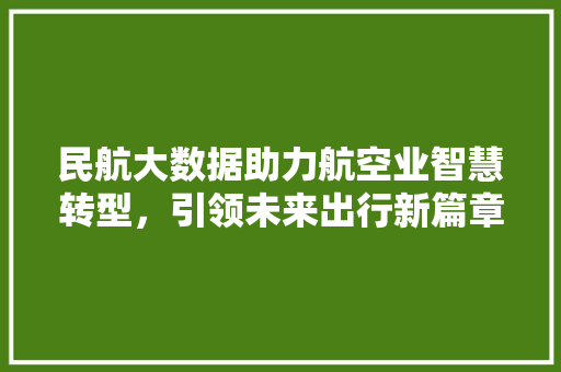 民航大数据助力航空业智慧转型，引领未来出行新篇章  第1张