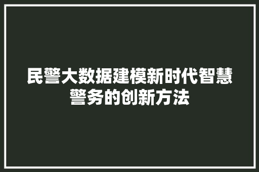 民警大数据建模新时代智慧警务的创新方法  第1张