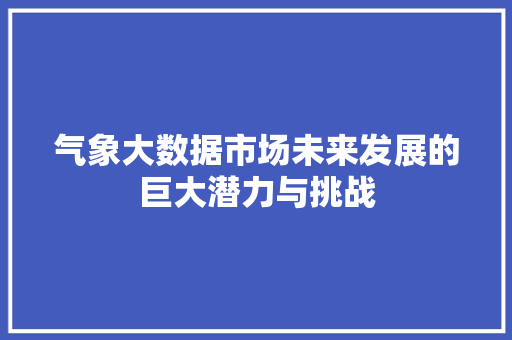 气象大数据市场未来发展的巨大潜力与挑战  第1张