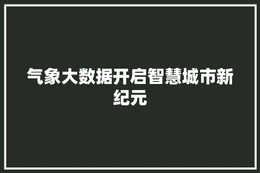 气象大数据开启智慧城市新纪元  第1张
