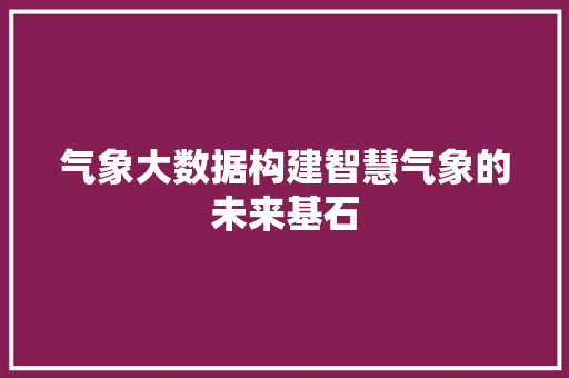气象大数据构建智慧气象的未来基石  第1张