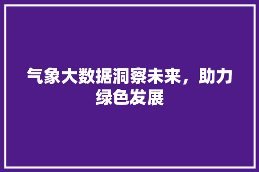 气象大数据洞察未来，助力绿色发展  第1张