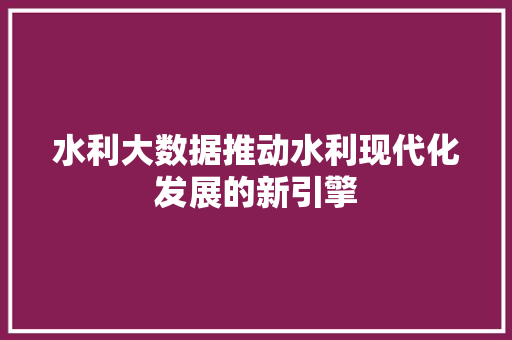 水利大数据推动水利现代化发展的新引擎  第1张
