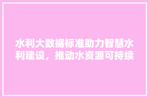 水利大数据标准助力智慧水利建设，推动水资源可持续发展  第1张