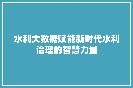 水利大数据赋能新时代水利治理的智慧力量  第1张