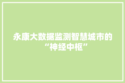永康大数据监测智慧城市的“神经中枢”  第1张