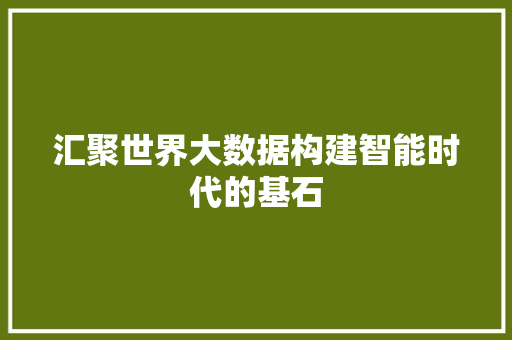 汇聚世界大数据构建智能时代的基石  第1张