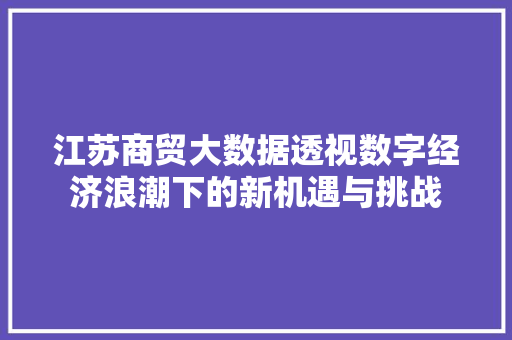 江苏商贸大数据透视数字经济浪潮下的新机遇与挑战  第1张