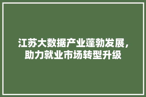 江苏大数据产业蓬勃发展，助力就业市场转型升级  第1张