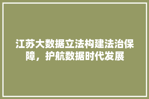 江苏大数据立法构建法治保障，护航数据时代发展  第1张