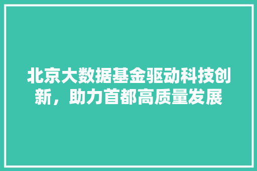 北京大数据基金驱动科技创新，助力首都高质量发展  第1张