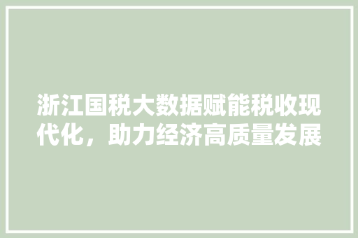 浙江国税大数据赋能税收现代化，助力经济高质量发展  第1张