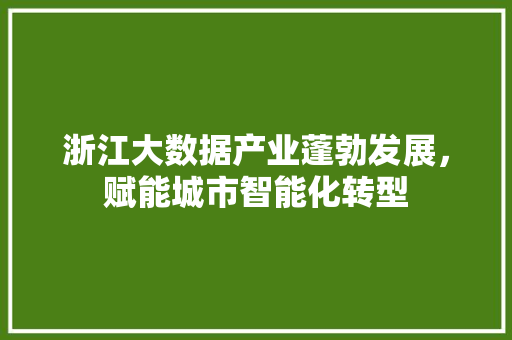 浙江大数据产业蓬勃发展，赋能城市智能化转型  第1张