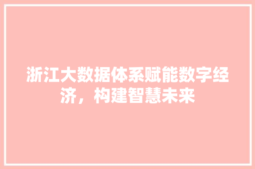 浙江大数据体系赋能数字经济，构建智慧未来  第1张